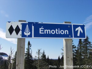 Emotion by Joe Shlabotnik