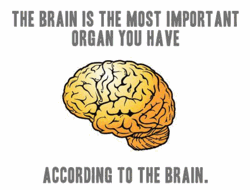 Votre cerveau est votre organe le plus important... d'après votre cerveau